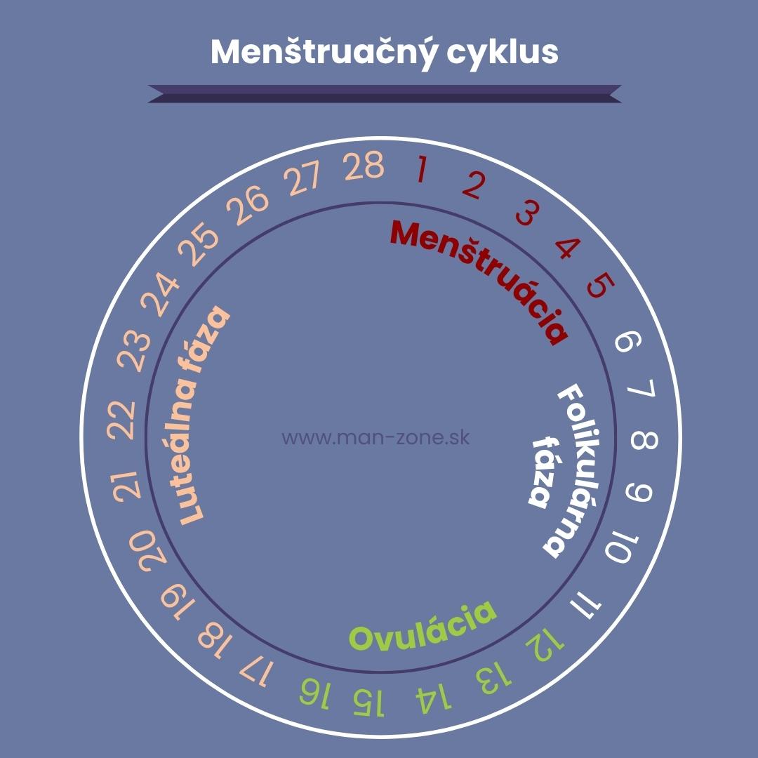 graficke-znazornenie-menstruacneho-cyklu-so-zvyraznenou-menstruaciou-ovulaciou-folikularnou-fazou-lutealnou-fazou